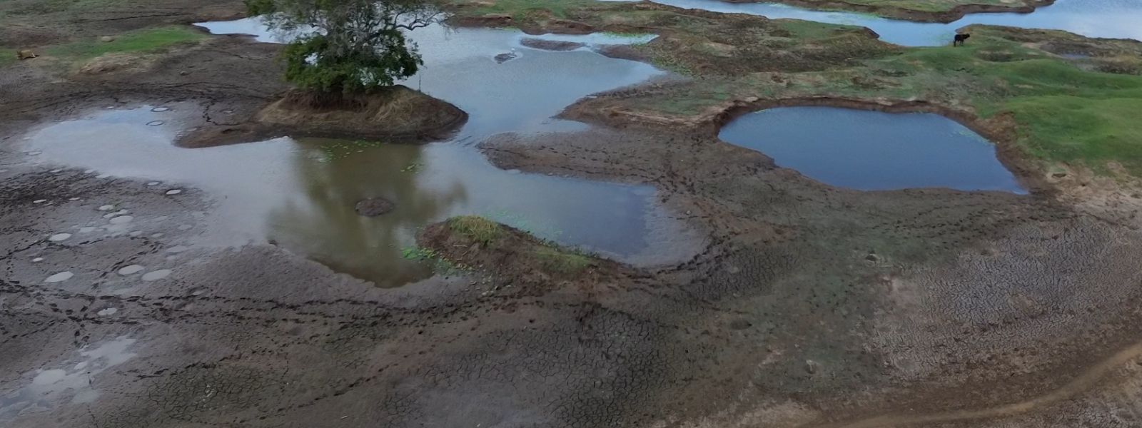 Could Sri Lanka Break a 43-Yr Temperature Record?